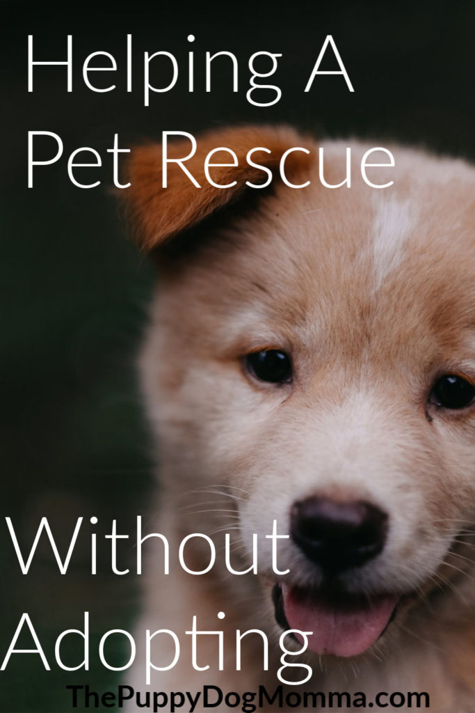 Helping a Pet Resuce without adopting