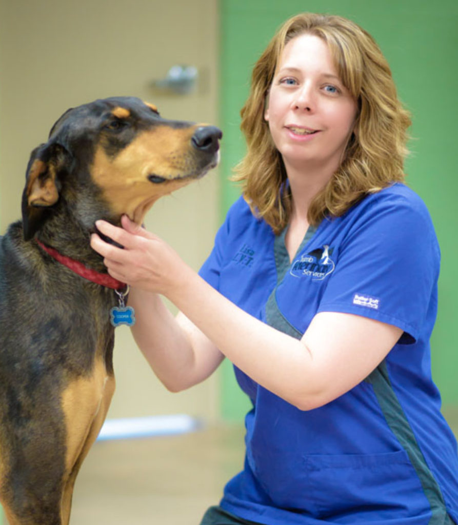 Lisa, Thumb Veterinary How to find the perfect vet