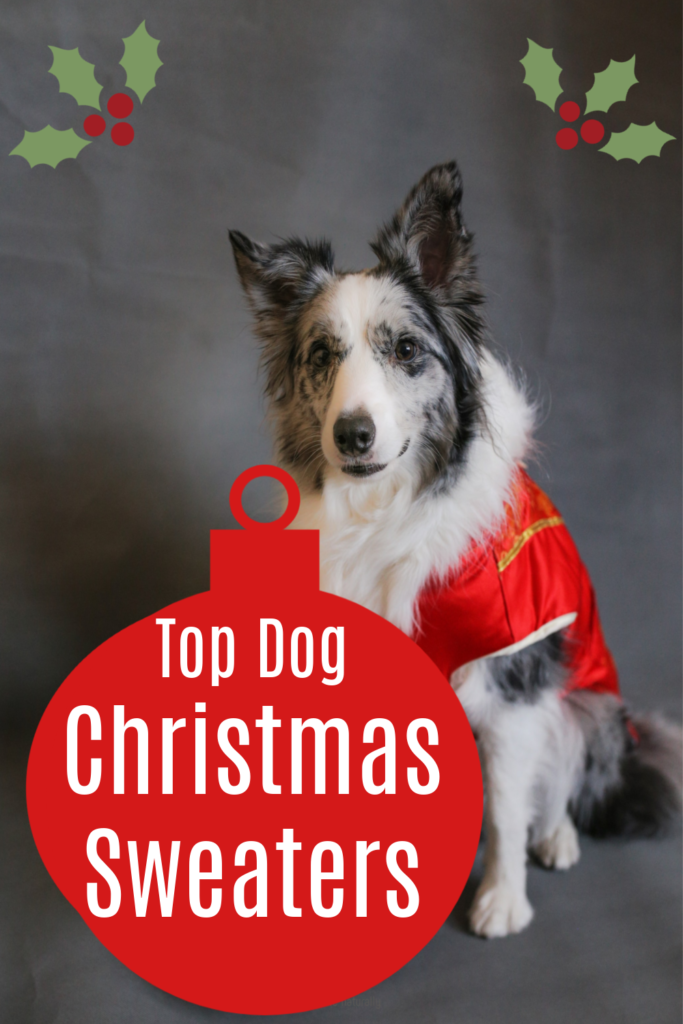 Top Dog Holiday Sweaters