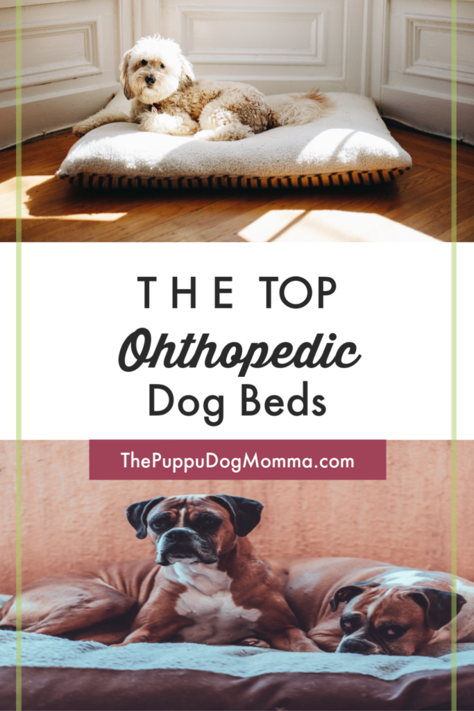 top orthopedic dog beds