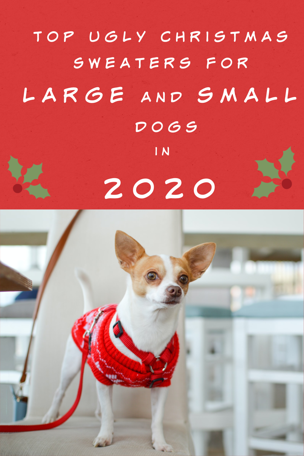 doggie christmas sweaters 2020