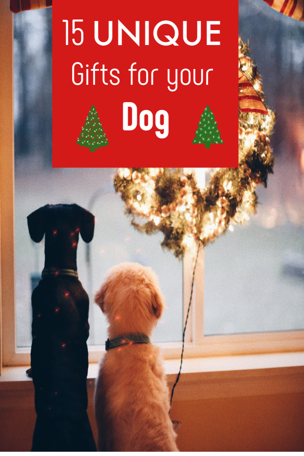 15 UNIQUE Gifts for your Dog The Puppy Dog Momma