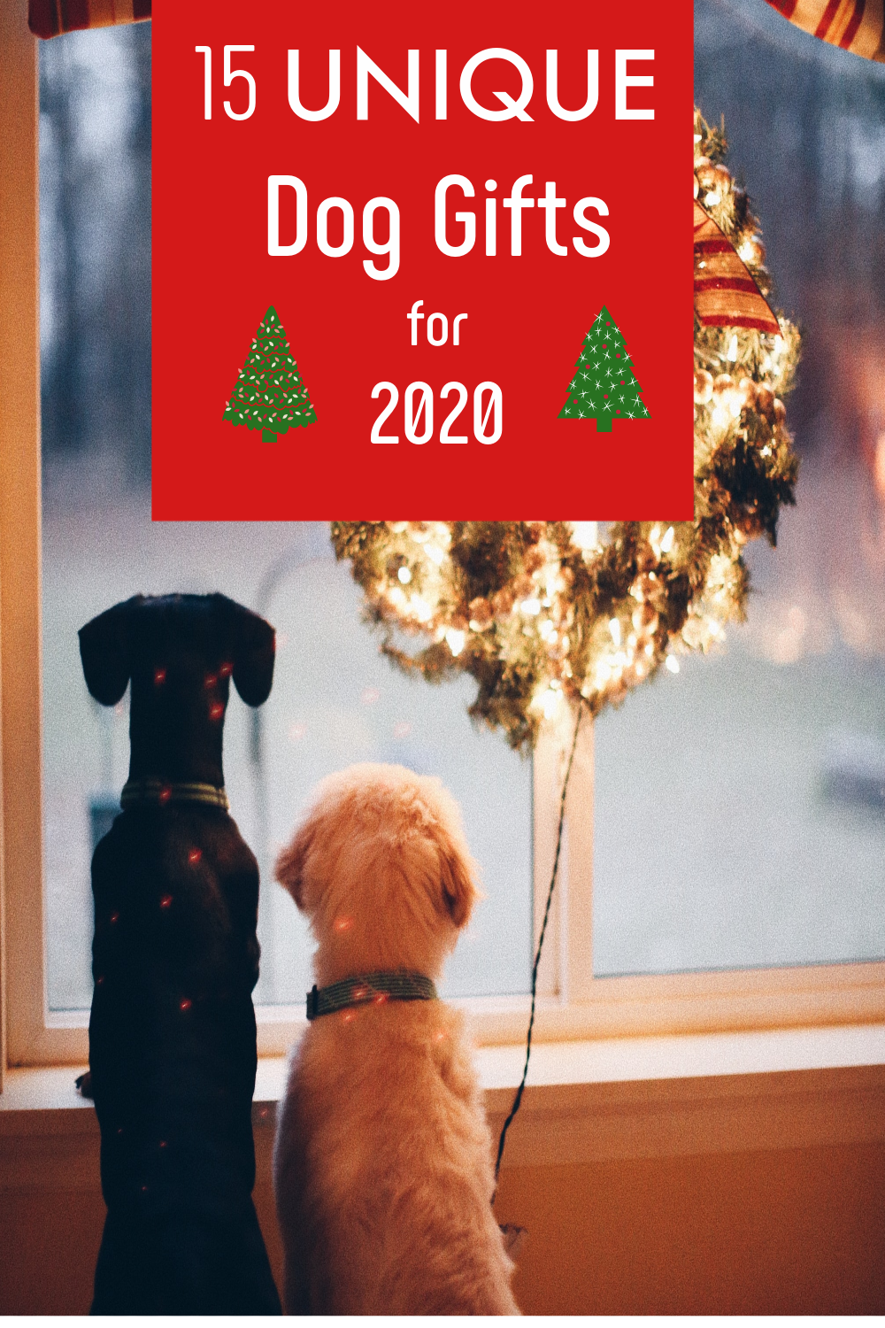 2020 dog gifts