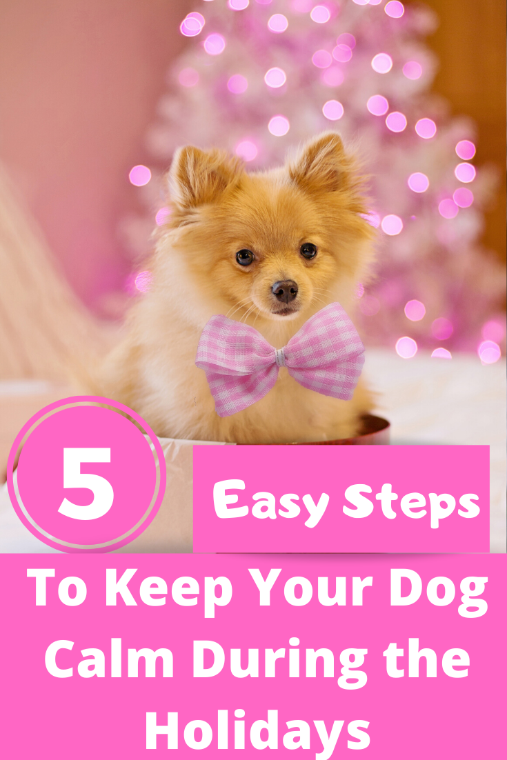 Keeping your dog calm during the holidays