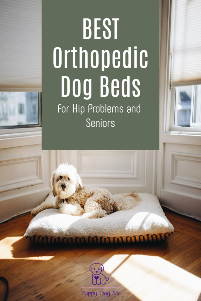 Orthopedic dog bed is a must for senior dogs and dogs with joint problems
