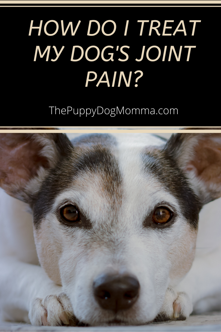 How do I treat my dog's joint pain?