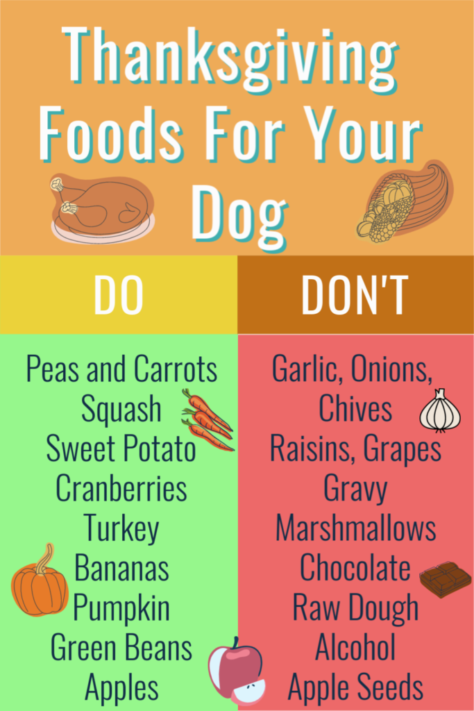 It's wonderful sharing Thanksgiving dinner with your family, friends, and even your dog. But you must know what foods are safe for your dog to eat. #ads