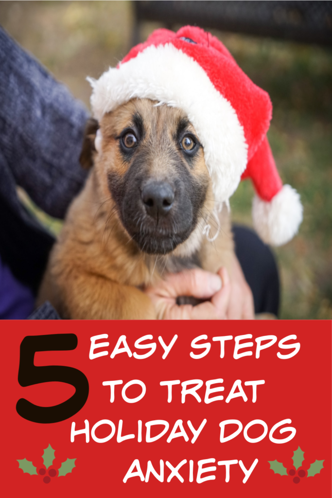5 steps to help your dog with holiday anxiety