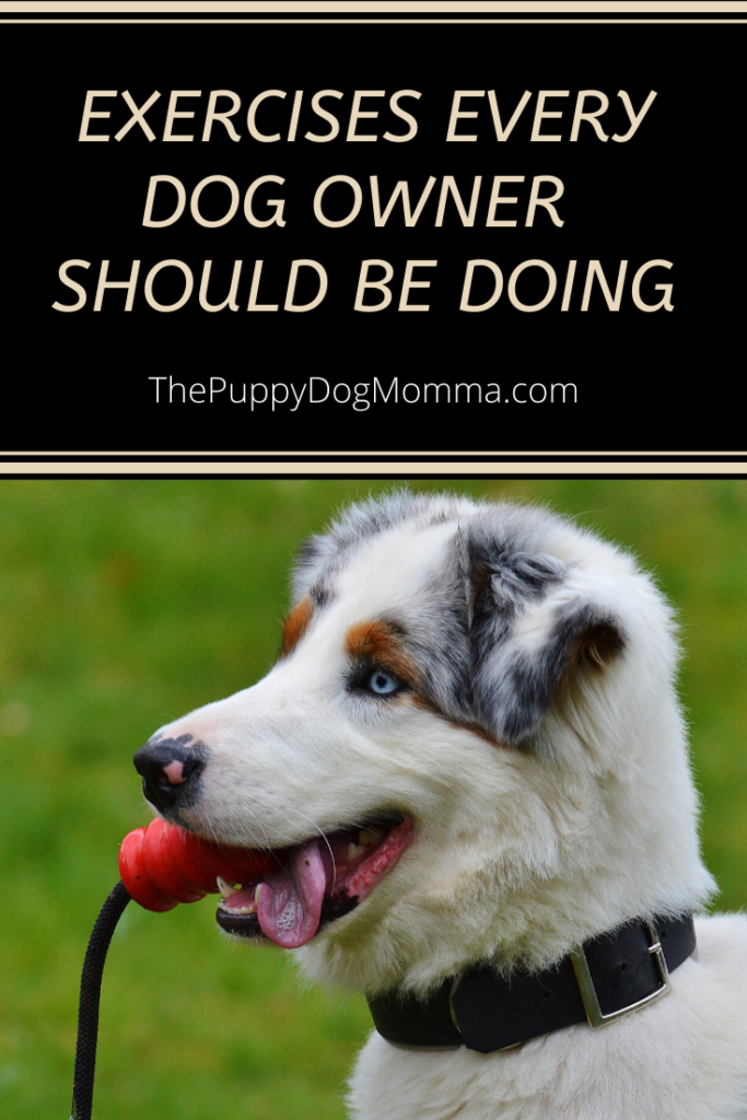 Exercises every dog owner should be doing
