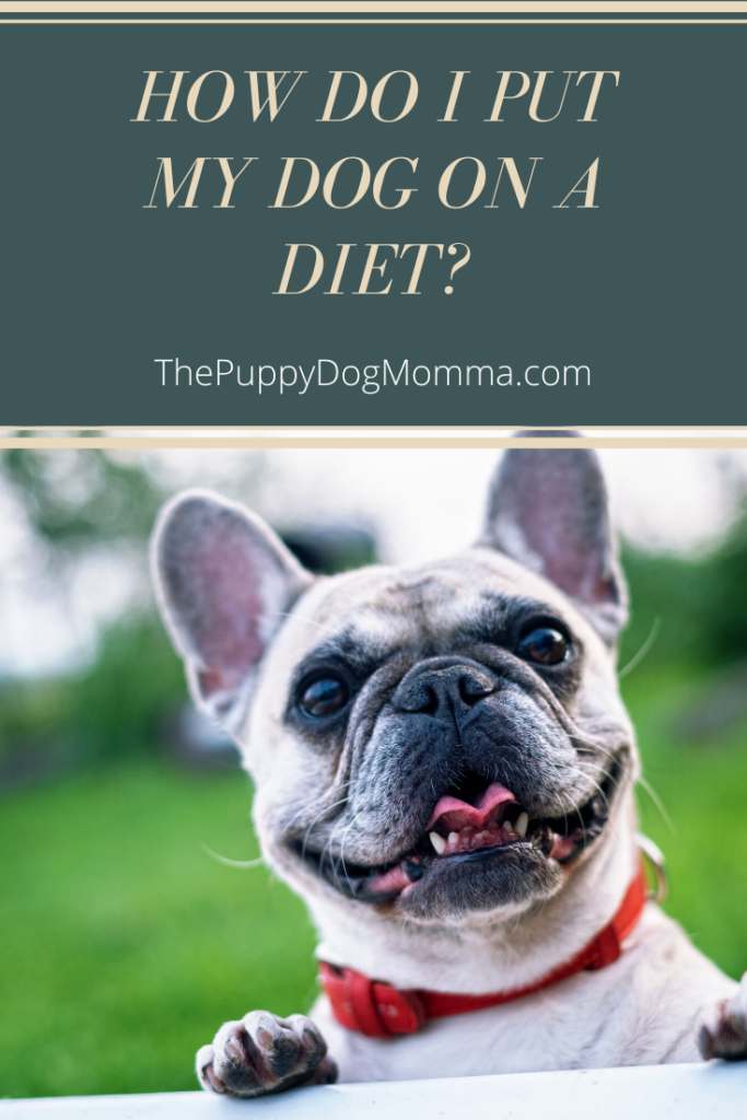 How do I put My dog on a diet?