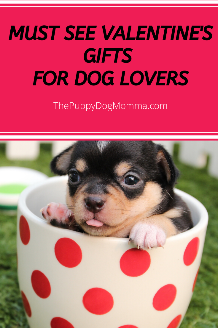 Must see gifts for dog lovers