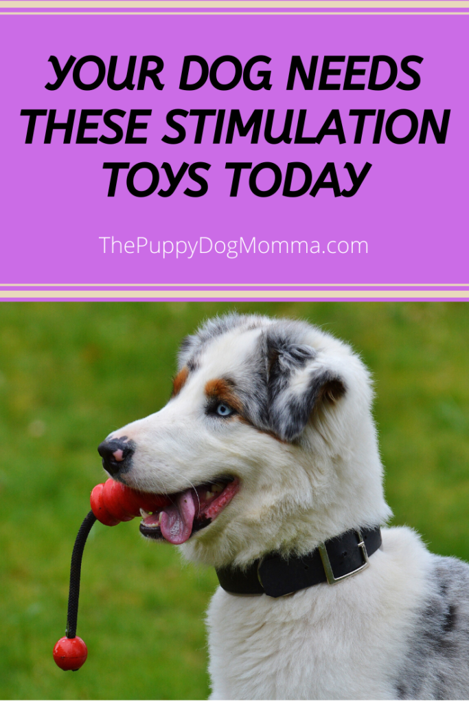 doggie stimulation toys